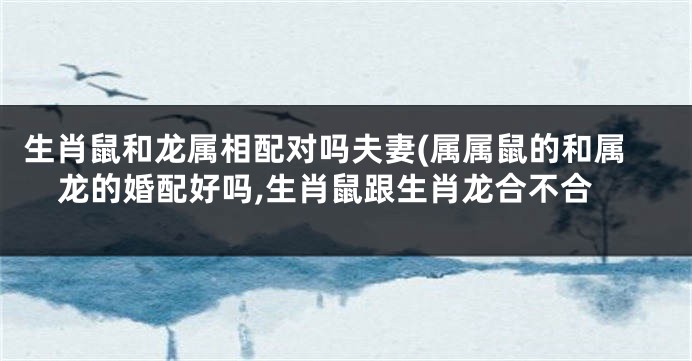 生肖鼠和龙属相配对吗夫妻(属属鼠的和属龙的婚配好吗,生肖鼠跟生肖龙合不合