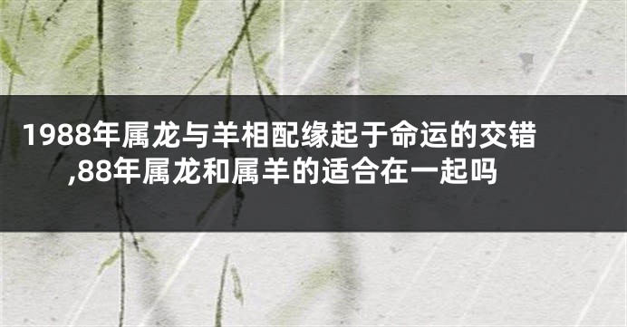 1988年属龙与羊相配缘起于命运的交错,88年属龙和属羊的适合在一起吗