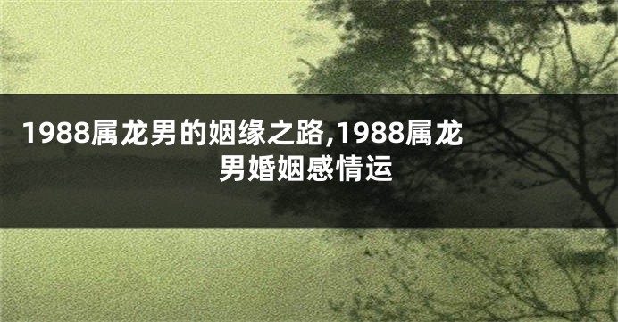 1988属龙男的姻缘之路,1988属龙男婚姻感情运