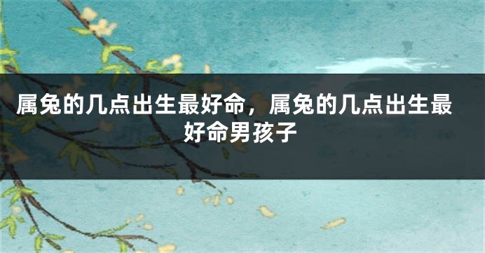 属兔的几点出生最好命，属兔的几点出生最好命男孩子