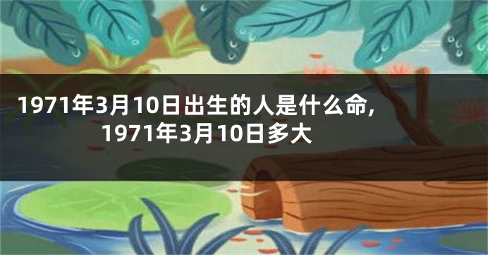 1971年3月10日出生的人是什么命,1971年3月10日多大