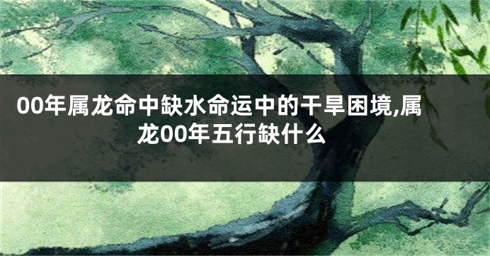 00年属龙命中缺水命运中的干旱困境,属龙00年五行缺什么