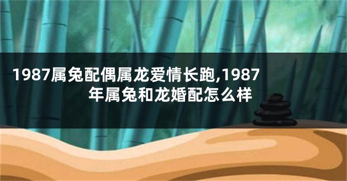 1987属兔配偶属龙爱情长跑,1987年属兔和龙婚配怎么样