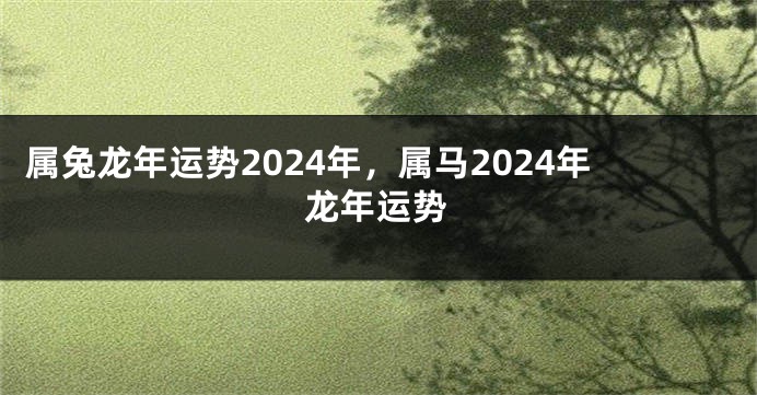 属兔龙年运势2024年，属马2024年龙年运势
