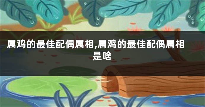 属鸡的最佳配偶属相,属鸡的最佳配偶属相是啥