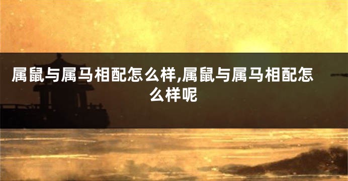 属鼠与属马相配怎么样,属鼠与属马相配怎么样呢