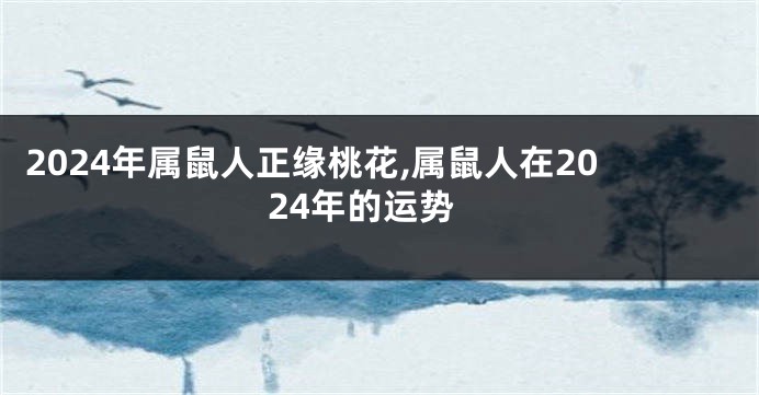 2024年属鼠人正缘桃花,属鼠人在2024年的运势