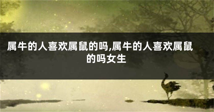 属牛的人喜欢属鼠的吗,属牛的人喜欢属鼠的吗女生