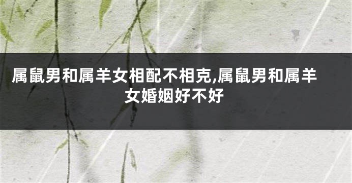 属鼠男和属羊女相配不相克,属鼠男和属羊女婚姻好不好