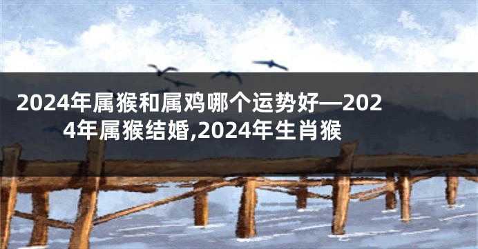 2024年属猴和属鸡哪个运势好—2024年属猴结婚,2024年生肖猴