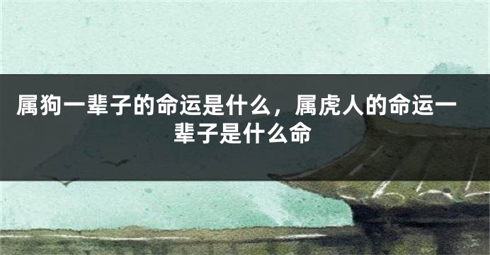 属狗一辈子的命运是什么，属虎人的命运一辈子是什么命