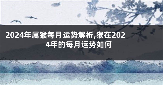2024年属猴每月运势解析,猴在2024年的每月运势如何