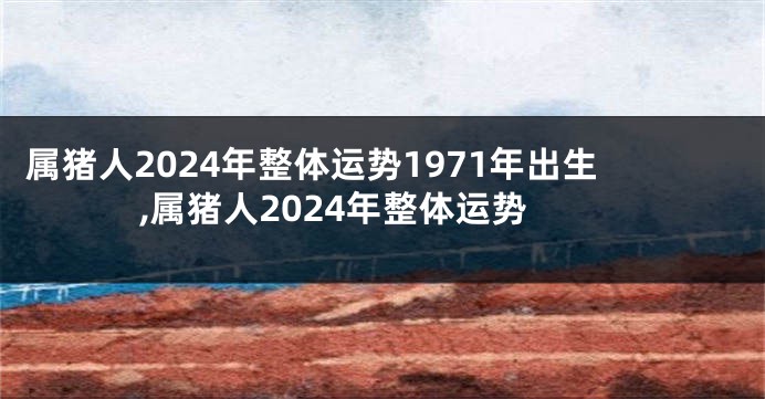属猪人2024年整体运势1971年出生,属猪人2024年整体运势