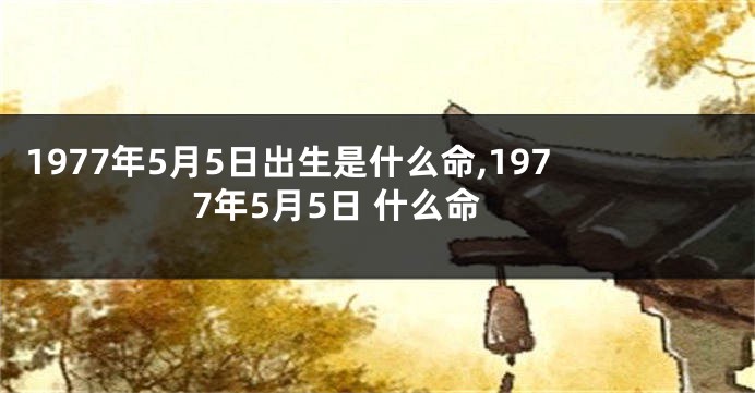 1977年5月5日出生是什么命,1977年5月5日 什么命