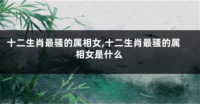 十二生肖最骚的属相女,十二生肖最骚的属相女是什么