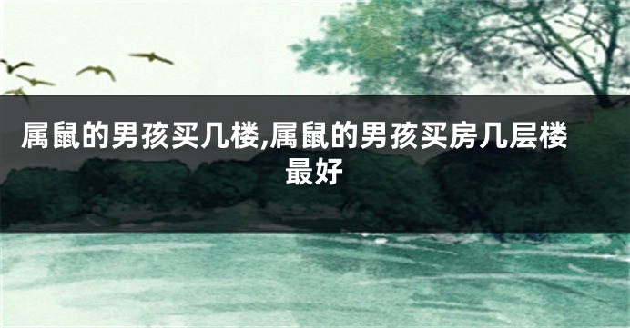属鼠的男孩买几楼,属鼠的男孩买房几层楼最好