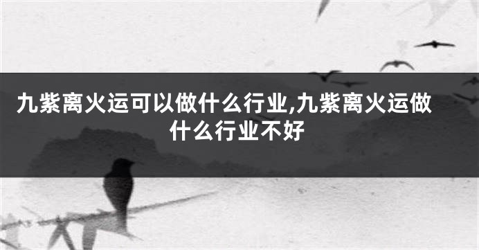 九紫离火运可以做什么行业,九紫离火运做什么行业不好