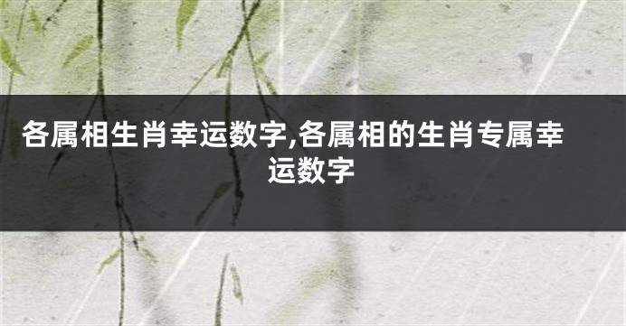 各属相生肖幸运数字,各属相的生肖专属幸运数字