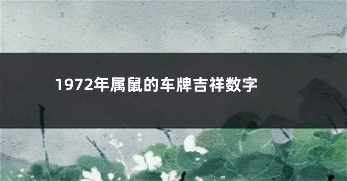 1972年属鼠的车牌吉祥数字