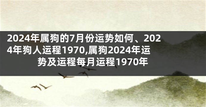 2024年属狗的7月份运势如何、2024年狗人运程1970,属狗2024年运势及运程每月运程1970年