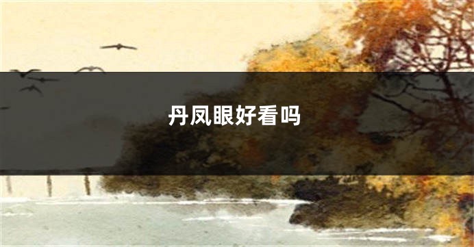 丹凤眼好看吗