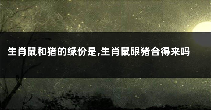 生肖鼠和猪的缘份是,生肖鼠跟猪合得来吗