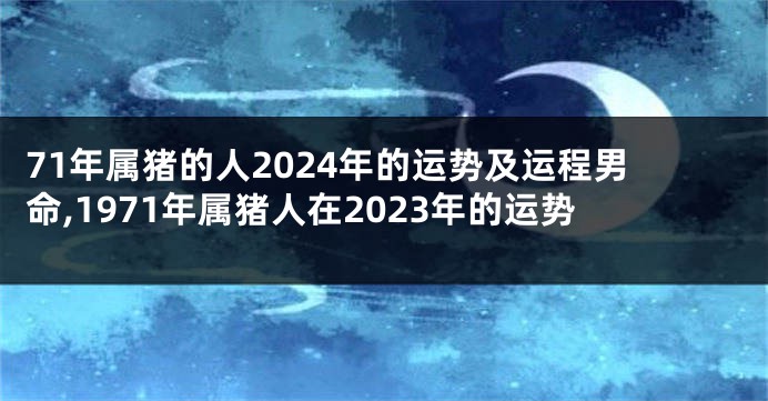 71年属猪的人2024年的运势及运程男命,1971年属猪人在2023年的运势