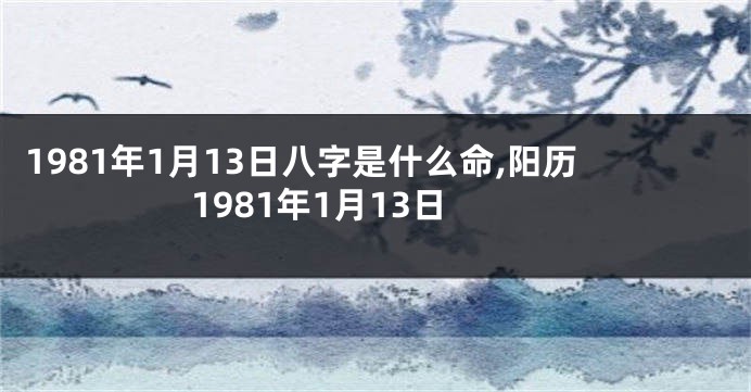 1981年1月13日八字是什么命,阳历1981年1月13日