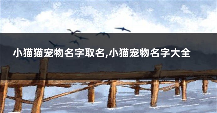 小猫猫宠物名字取名,小猫宠物名字大全