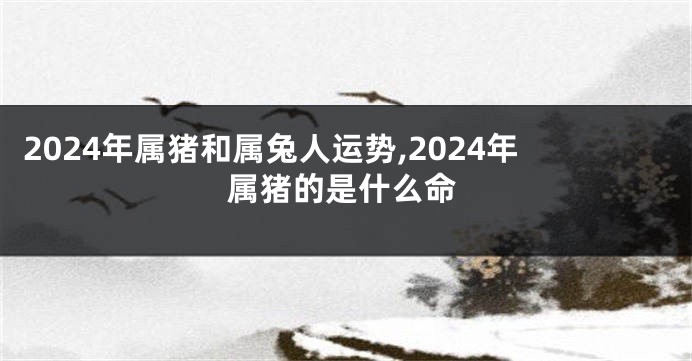 2024年属猪和属兔人运势,2024年属猪的是什么命