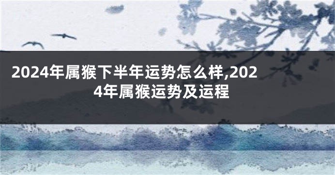 2024年属猴下半年运势怎么样,2024年属猴运势及运程