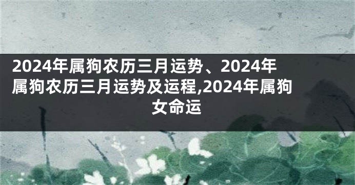 2024年属狗农历三月运势、2024年属狗农历三月运势及运程,2024年属狗女命运