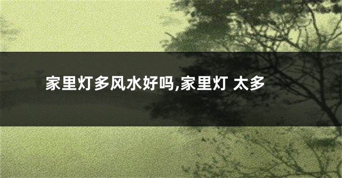 家里灯多风水好吗,家里灯 太多