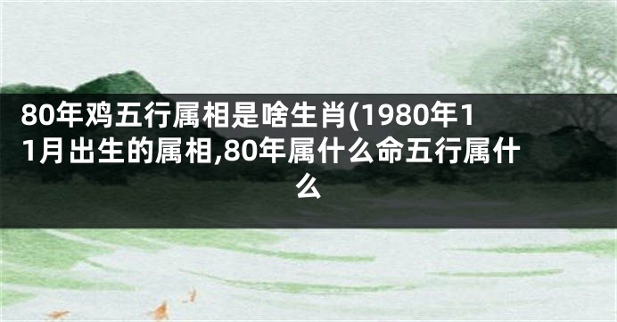80年鸡五行属相是啥生肖(1980年11月出生的属相,80年属什么命五行属什么
