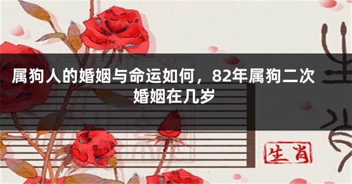 属狗人的婚姻与命运如何，82年属狗二次婚姻在几岁