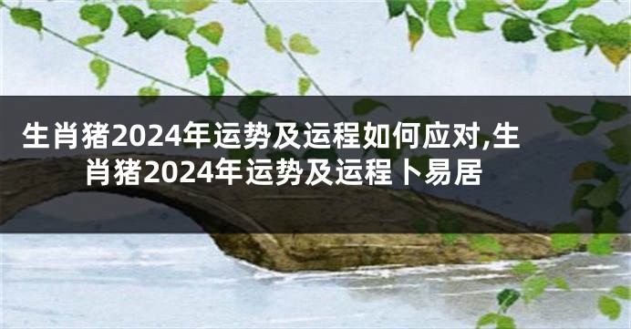 生肖猪2024年运势及运程如何应对,生肖猪2024年运势及运程卜易居
