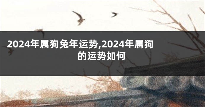 2024年属狗兔年运势,2024年属狗的运势如何
