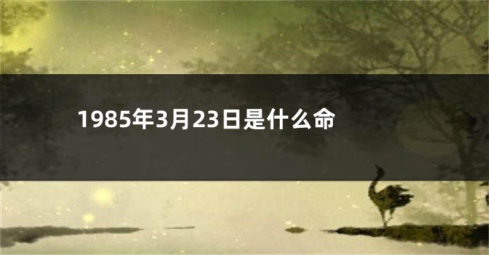 1985年3月23日是什么命