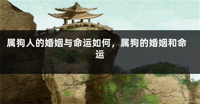 属狗人的婚姻与命运如何，属狗的婚姻和命运