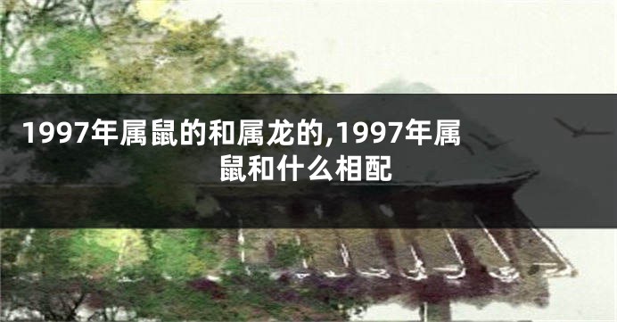1997年属鼠的和属龙的,1997年属鼠和什么相配
