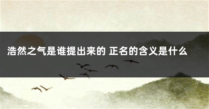 浩然之气是谁提出来的 正名的含义是什么