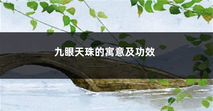 九眼天珠的寓意及功效