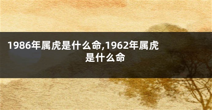 1986年属虎是什么命,1962年属虎是什么命