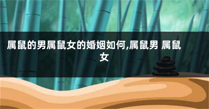 属鼠的男属鼠女的婚姻如何,属鼠男 属鼠女