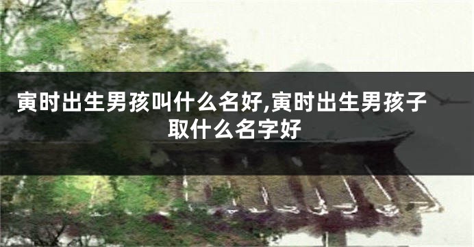 寅时出生男孩叫什么名好,寅时出生男孩子取什么名字好