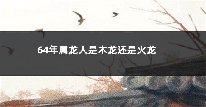 64年属龙人是木龙还是火龙
