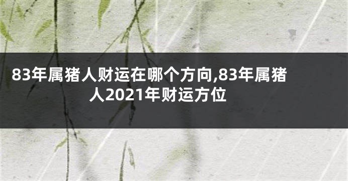 83年属猪人财运在哪个方向,83年属猪人2021年财运方位