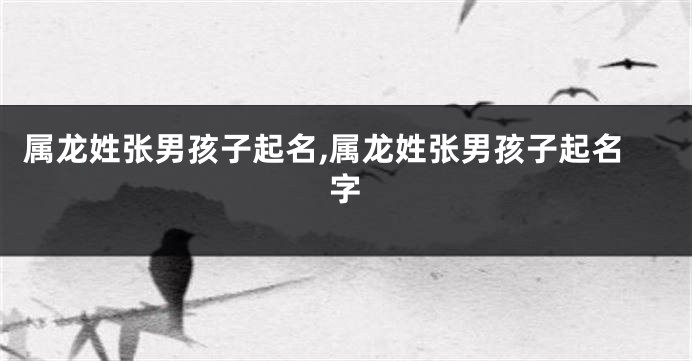 属龙姓张男孩子起名,属龙姓张男孩子起名字