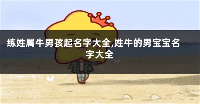 练姓属牛男孩起名字大全,姓牛的男宝宝名字大全