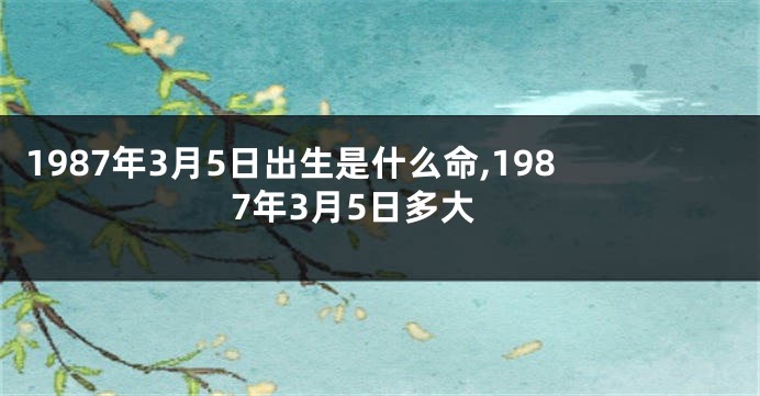 1987年3月5日出生是什么命,1987年3月5日多大